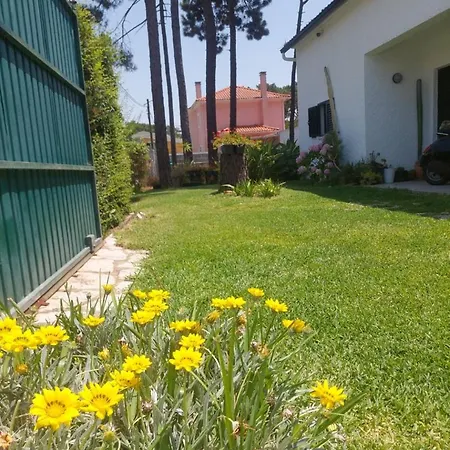 2 Steps From Lisbon